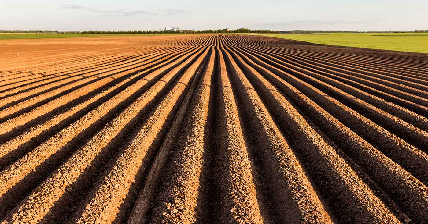 Vinder hævd. Her er der tale om ejendomshævd hvor pløjelinje rykket