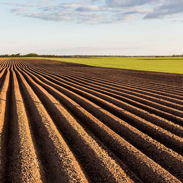 Hævd: Hvilke forhold skal være opfyldt for at vinde hævd