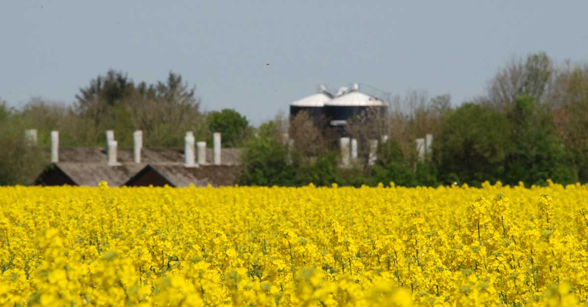 Landinspektør ydelser til landbrug