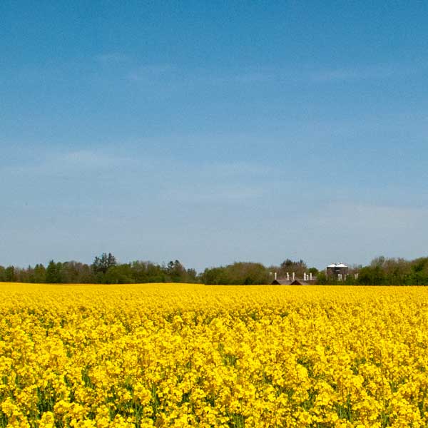Landinspektør hjælp til landbrugsloven